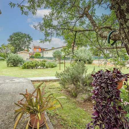 Tireli - Prc144 By Interhome Apartment